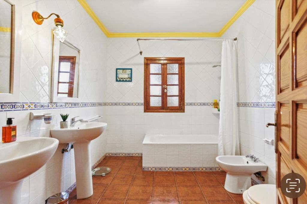 Villa Aventura Parque Holandes Exteriér fotografie