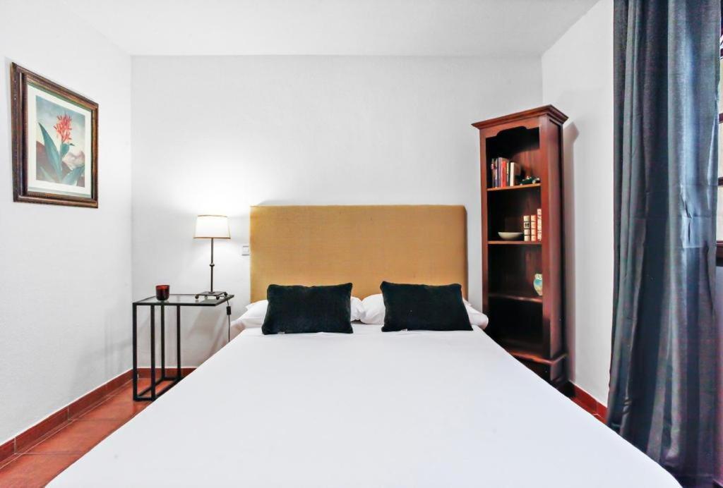 Villa Aventura Parque Holandes Exteriér fotografie